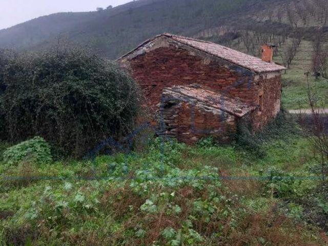 Quinta venda em Torre De Moncorvo, Bragança