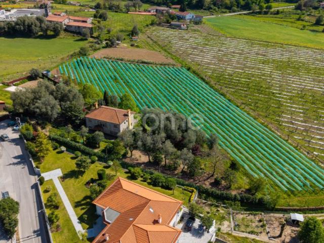 Quinta venda em Póvoa De Lanhoso, Braga