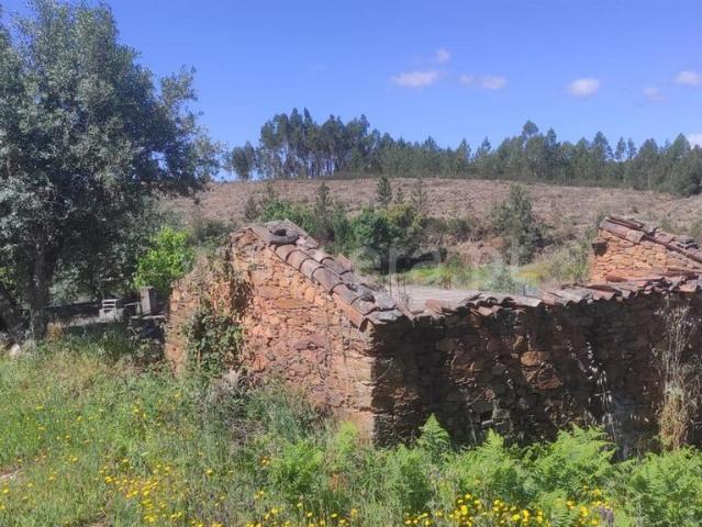 Quinta venda em Castelo Branco