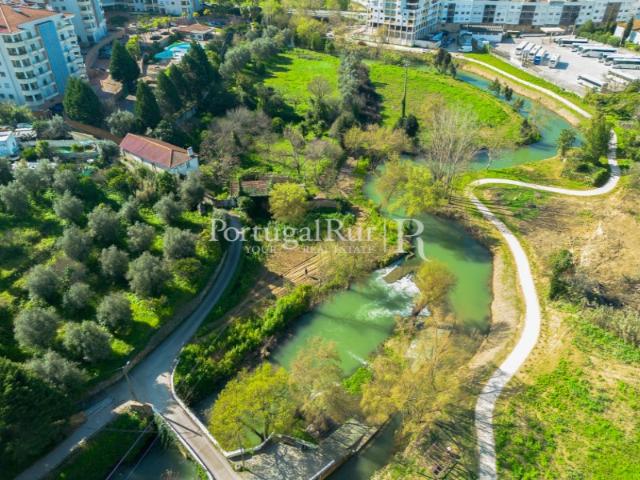 Quinta venda em Torres Novas, Santarém