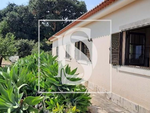 Quinta venda em Alenquer, Lisboa