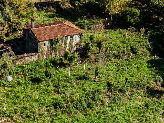 Quinta venda em Vila Nova De Cerveira, Viana Do Castelo