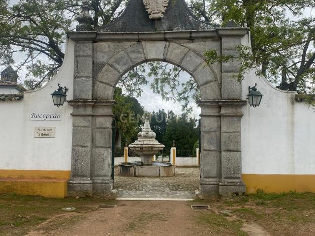Loja venda em Elvas, Portalegre