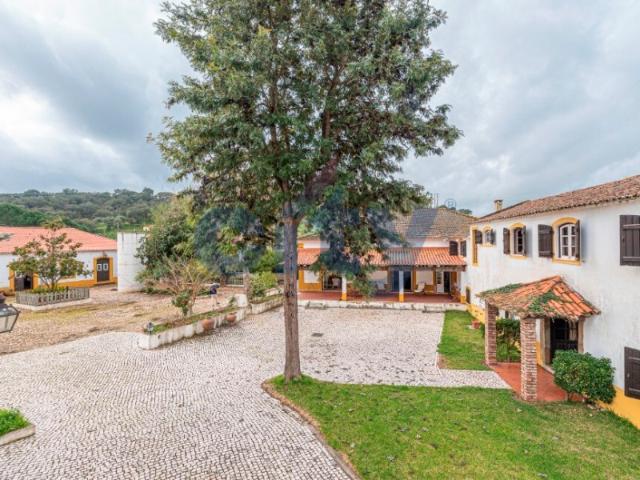 Casa venda em Chamusca e Pinheiro Grande, Chamusca
