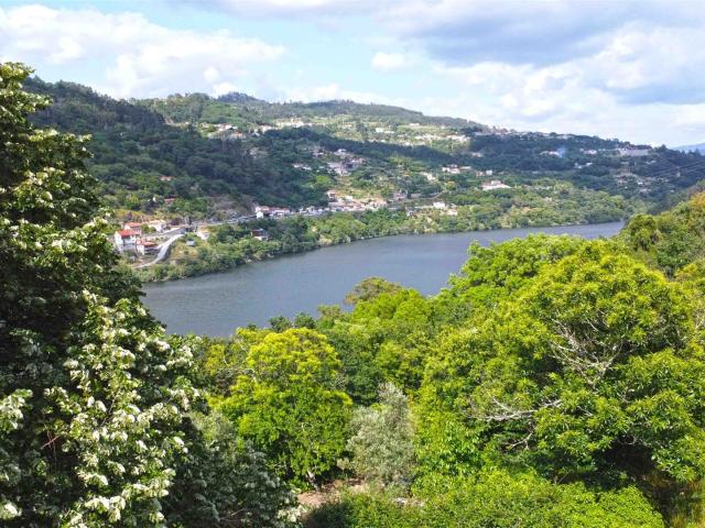 Vivenda venda em Cinfães, Viseu