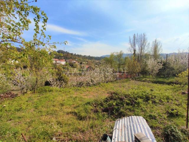Quinta venda em Cinfães, Viseu