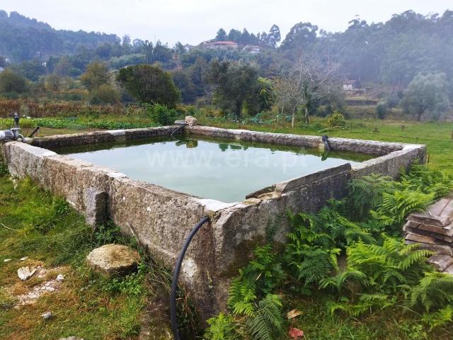 Quinta venda em Espadanedo, Viseu