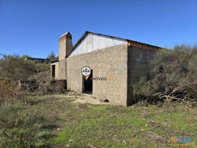 Quinta venda em Castelo Branco