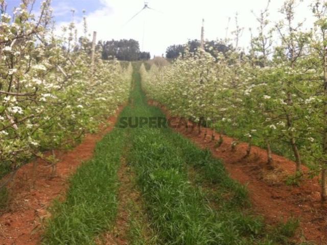 Casa venda em Cadaval, Alguber