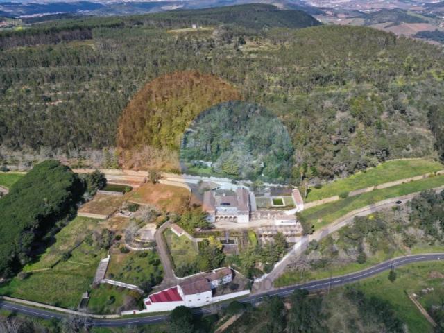 Quinta venda em Mafra, Lisboa