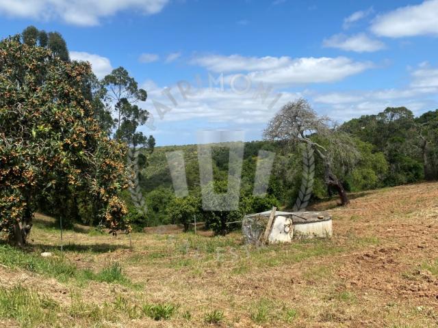Quinta venda em São Luís, Odemira