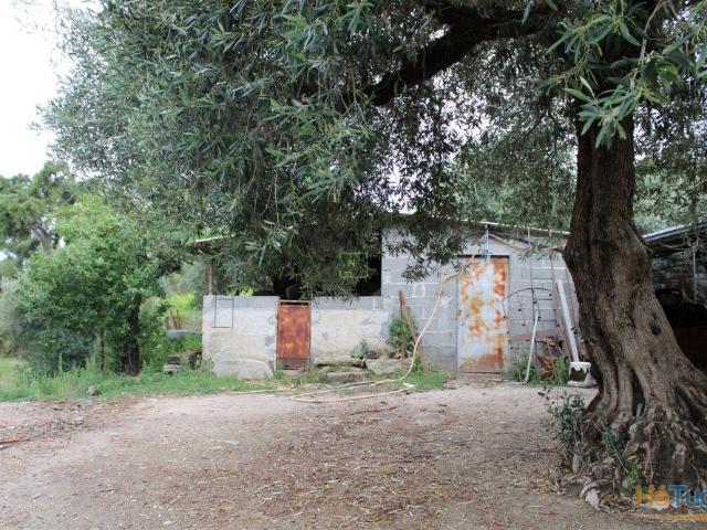 Quinta venda em Fundão