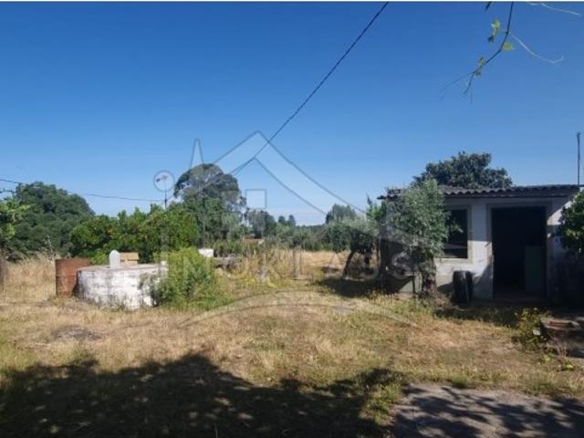 Terreno venda em Alcains, Castelo Branco