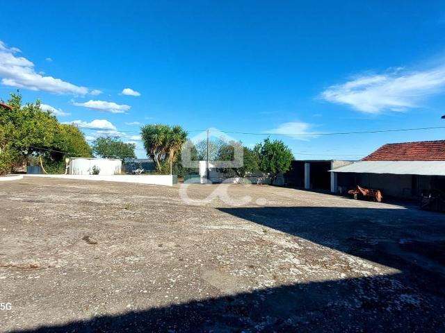 Quinta venda em Torres Novas, Santarém