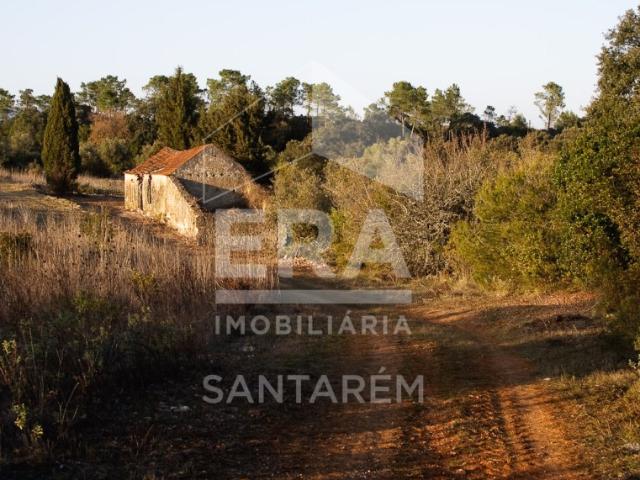 Casa venda em Casével e Vaqueiros, Santarém