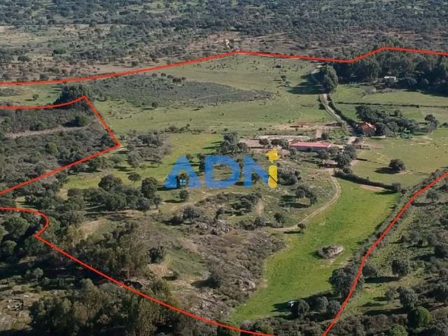 Quinta venda em Castelo Branco