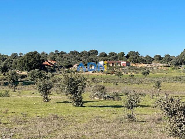 Quinta venda em Castelo Branco