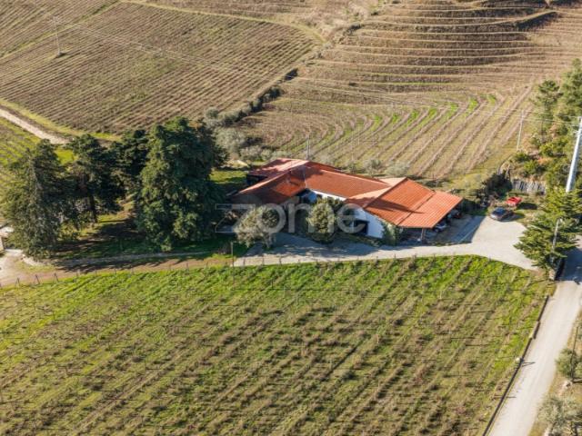 Quinta venda em Viseu