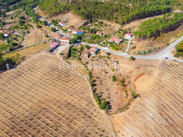 Quinta venda em Mação, Santarém