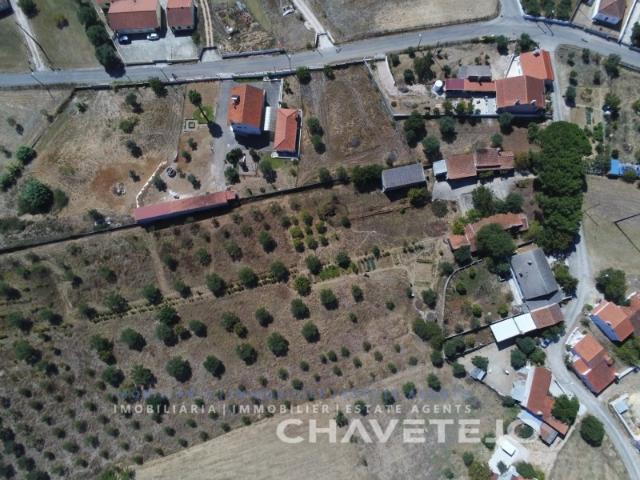 Quinta venda em Tomar, Santarém