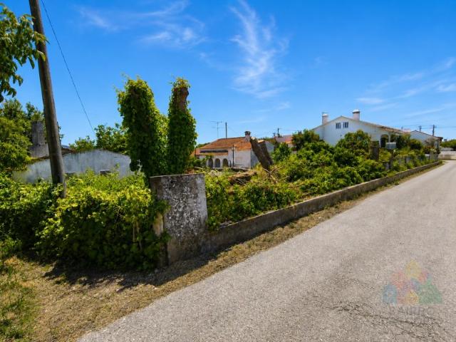 Quinta venda em Tomar, Santarém