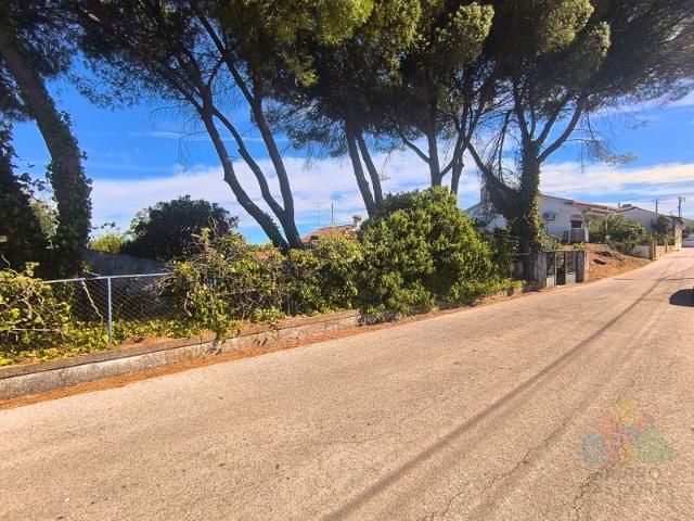 Quinta venda em Tomar (São João Baptista) e Santa Maria dos Olivais, Tomar