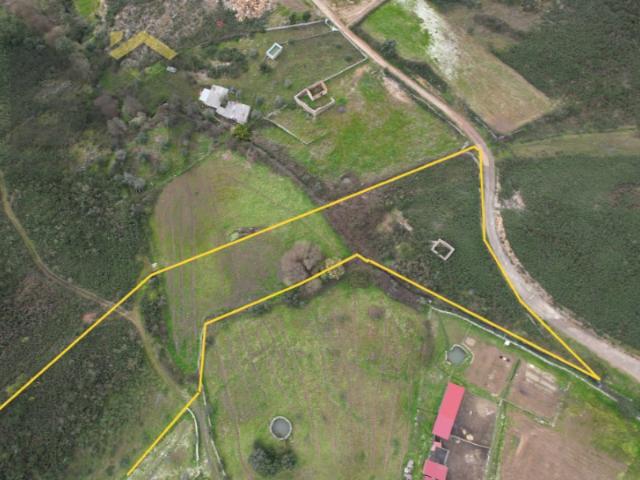 Quinta venda em Castelo Branco