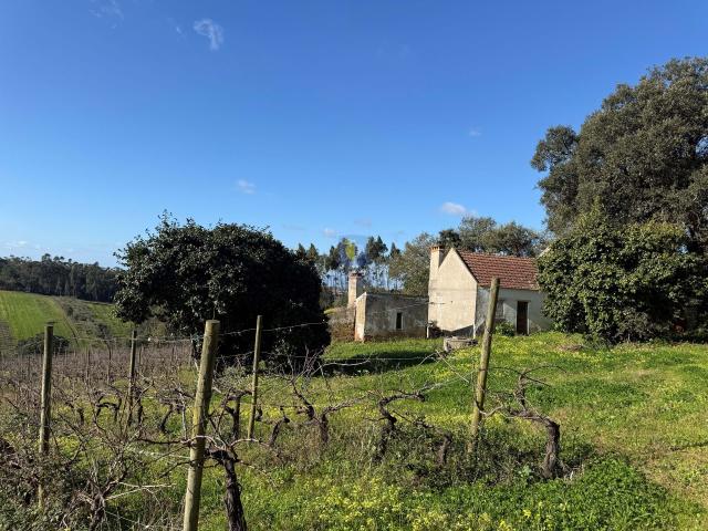 Casa venda em Óbidos, Leiria