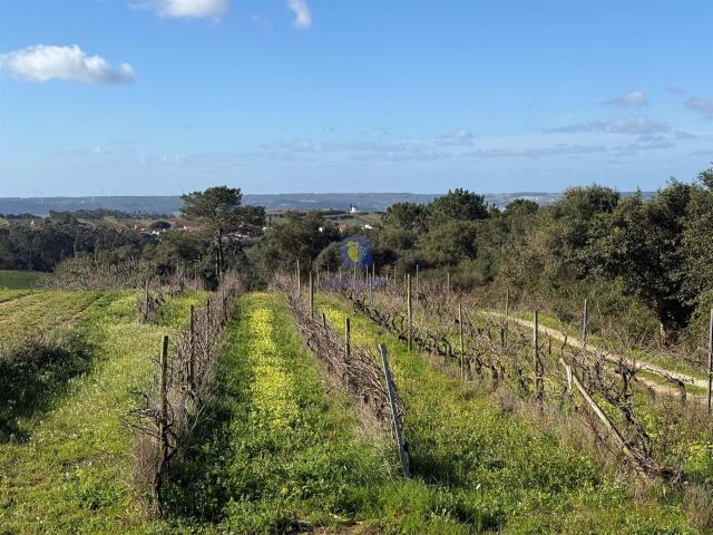 Vivenda venda em Óbidos, Leiria