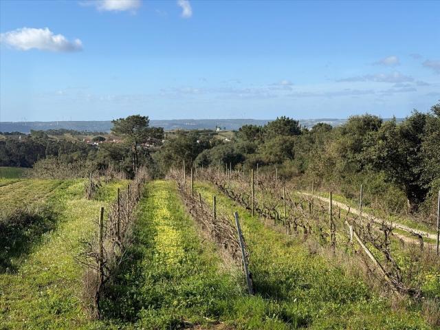 Vivenda venda em Usseira, Óbidos