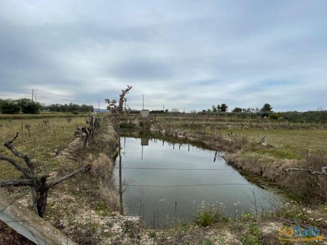 Quinta venda em Castelo Branco, Aldeia Nova Do Cabo