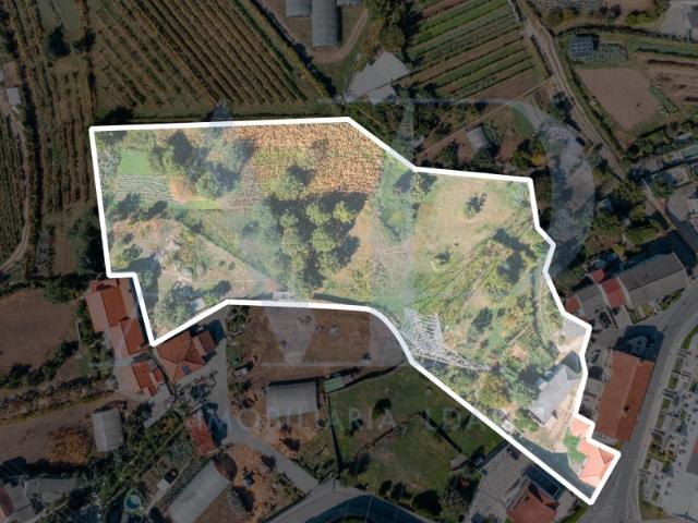 Quinta venda em Ponta do Campo, Guimarães