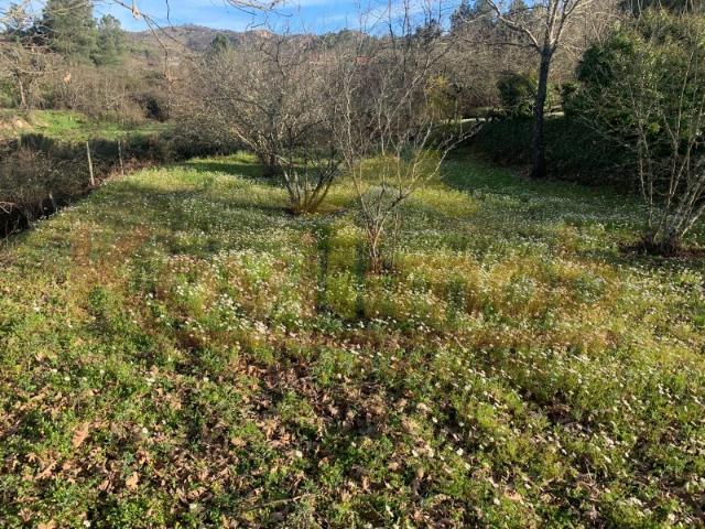 Quinta venda em Boidobra, Quinta do Sol