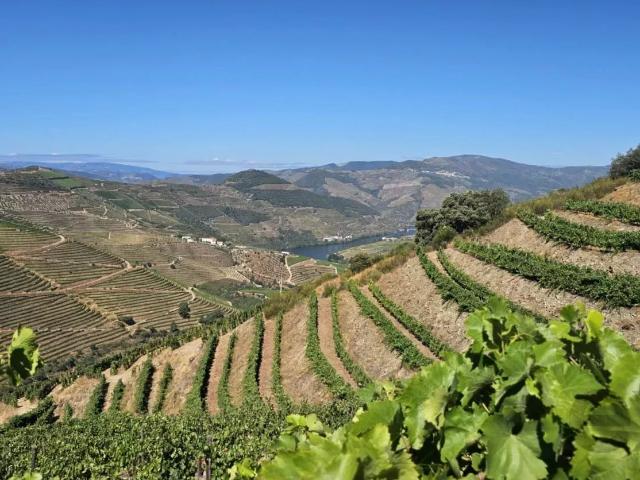 Terreno venda em Nagoselo Do Douro, Viseu