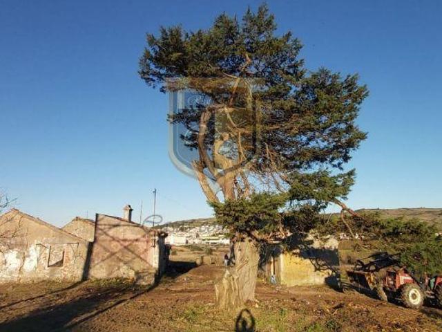 Quinta venda em Torres Vedras, Lisboa