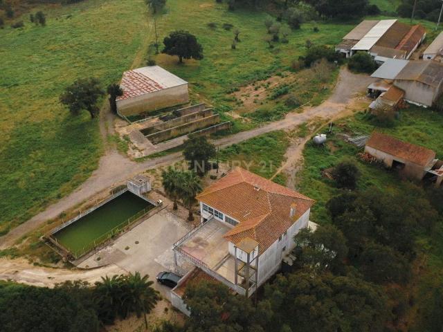 Vivenda venda em Santarém