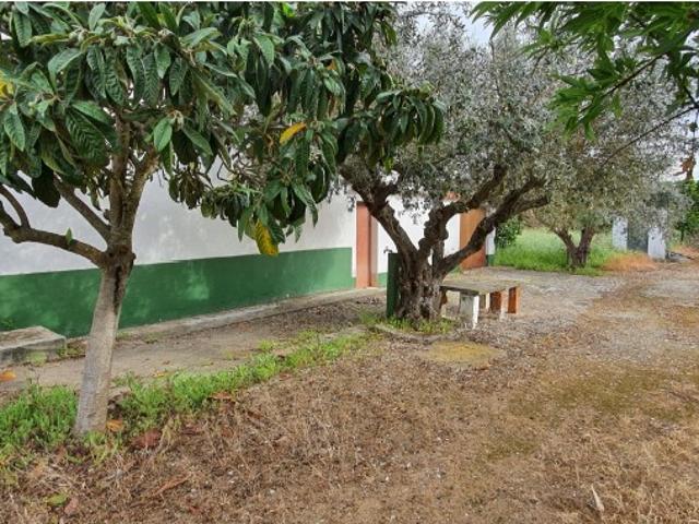 Quinta venda em Reguengos De Monsaraz, Évora