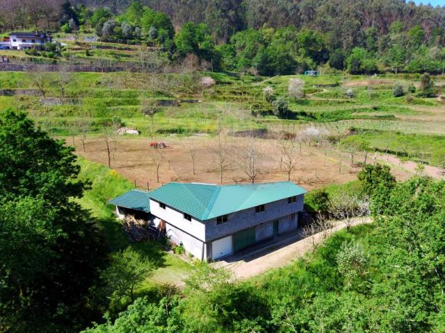 Quinta venda em Grovelas São João Evangelista, Viana Do Castelo