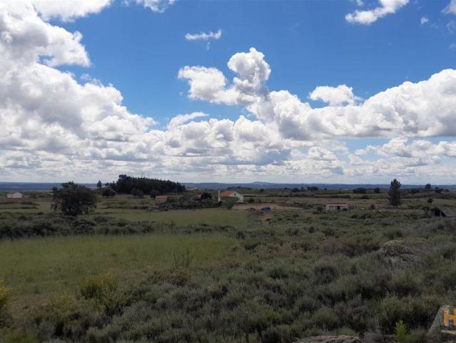 Terreno venda em Castelo Branco, Aldeia Nova Do Cabo