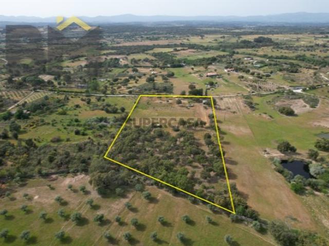 Terreno venda em Castelo Branco
