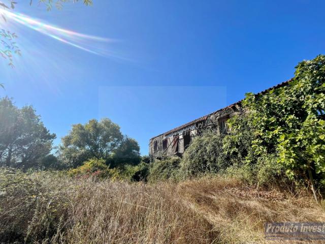 Casa venda em Castelo Branco, Boidobra