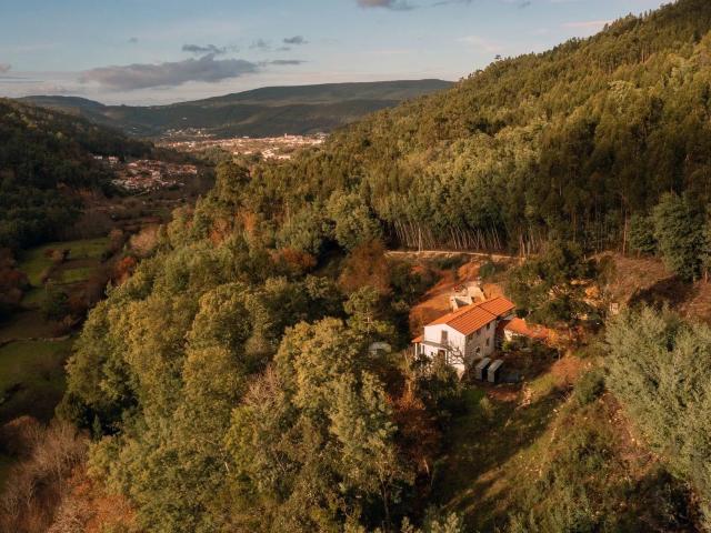 Quinta venda em Pedrógão Grande, Leiria