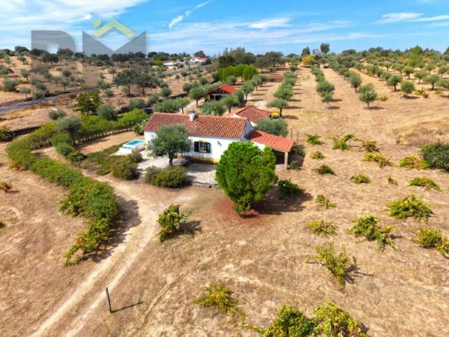 Quinta venda em Castelo Branco