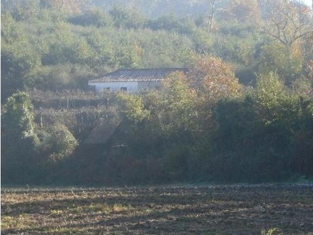 Quinta venda em Grovelas São João Evangelista, Viana Do Castelo