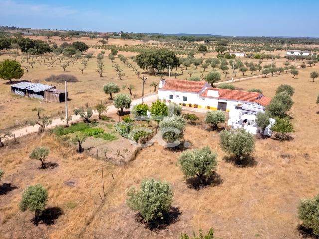 Quinta venda em Fronteira, Portalegre