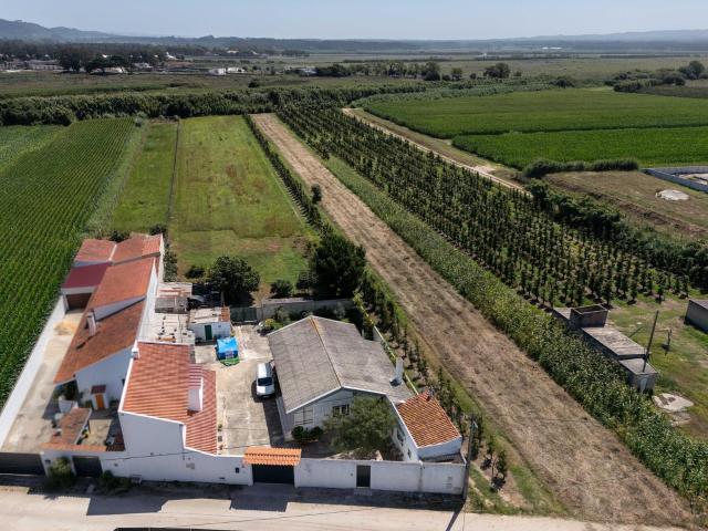 Casa venda em Alcobaça, Leiria