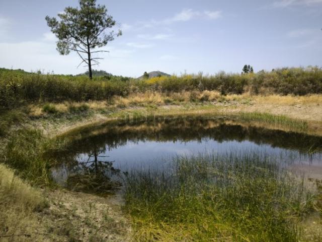 Terreno venda em Castelo Branco