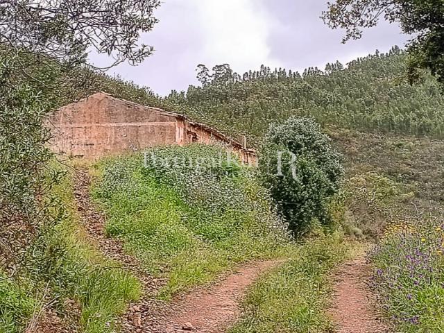 Quinta venda em São Teotónio, Odemira