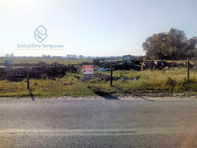 Quinta venda em Moita, Gaio-rosário