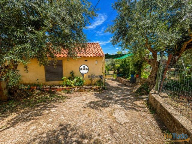 Quinta venda em Castelo Branco